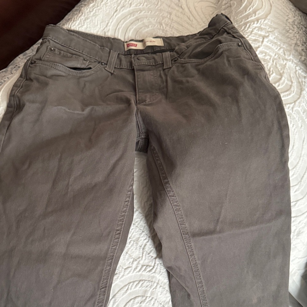 Levi's Men's Charcoal Chinos